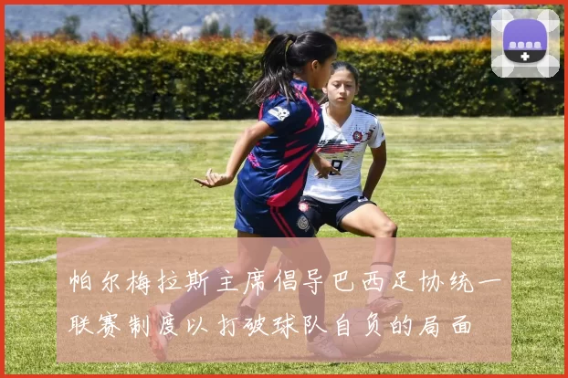 帕尔梅拉斯主席倡导巴西足协统一联赛制度以打破球队自负的局面